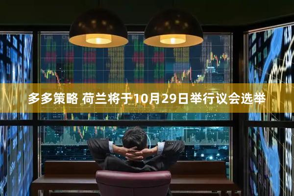 多多策略 荷兰将于10月29日举行议会选举
