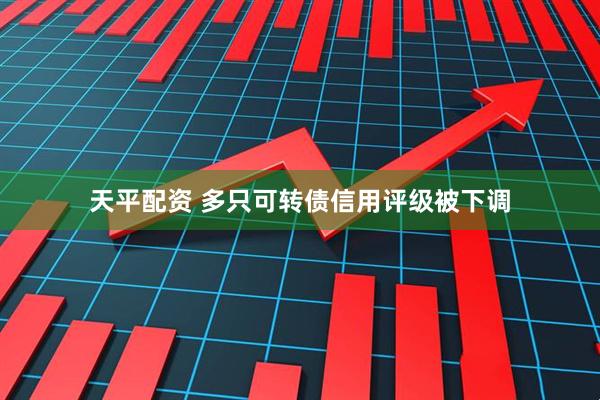 天平配资 多只可转债信用评级被下调