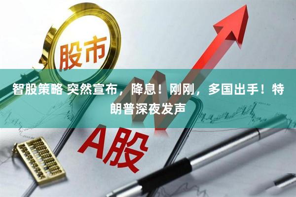 智股策略 突然宣布，降息！刚刚，多国出手！特朗普深夜发声