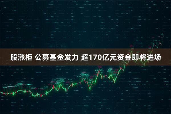 股涨柜 公募基金发力 超170亿元资金即将进场