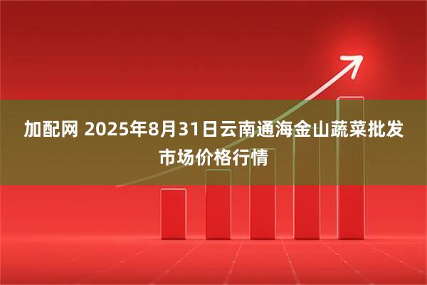 加配网 2025年8月31日云南通海金山蔬菜批发市场价格行情