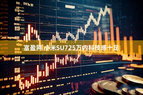 富盈网 小米SU725万内科技感十足