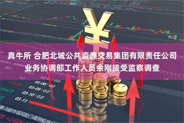真牛所 合肥北城公共资源交易集团有限责任公司业务协调部工作人员余刚接受监察调查