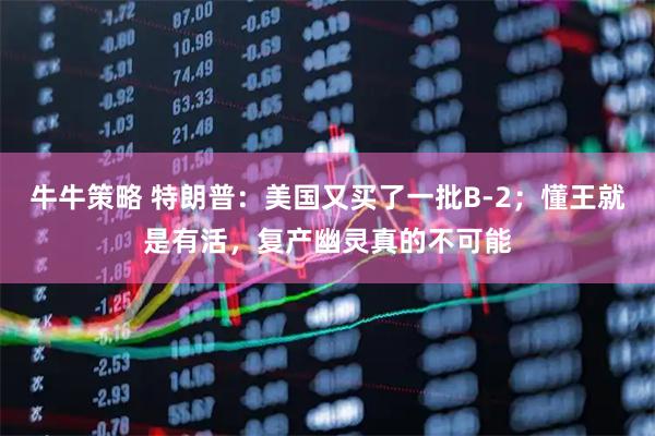 牛牛策略 特朗普：美国又买了一批B-2；懂王就是有活，复产幽灵真的不可能