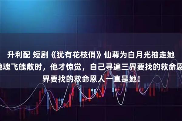 升利配 短剧《犹有花枝俏》仙尊为白月光抽走她的灵髓，当她魂飞魄散时，他才惊觉，自己寻遍三界要找的救命恩人一直是她！