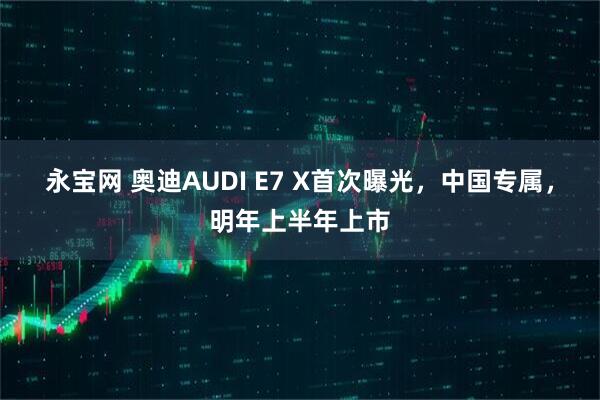 永宝网 奥迪AUDI E7 X首次曝光，中国专属，明年上半年上市