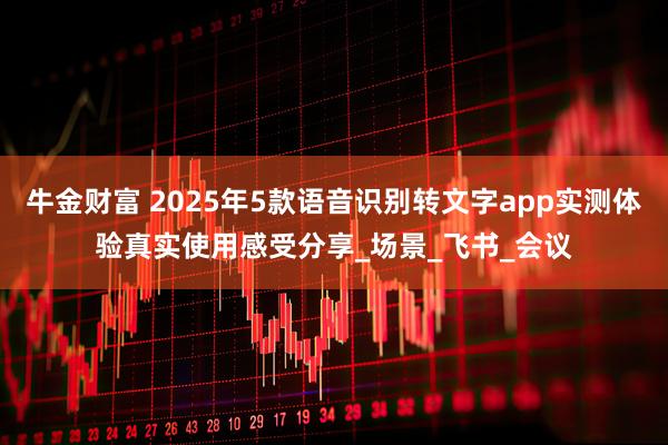 牛金财富 2025年5款语音识别转文字app实测体验真实使用感受分享_场景_飞书_会议