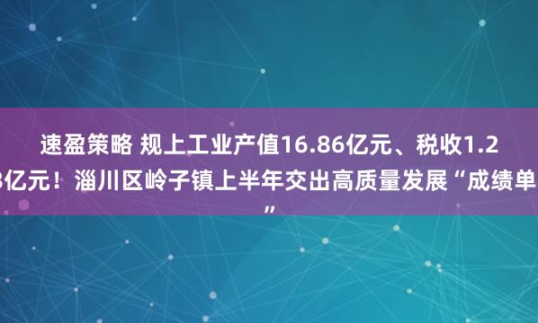 速盈策略 规上工业产值16.86亿元、税收1.28亿元！淄川区岭子镇上半年交出高质量发展“成绩单”