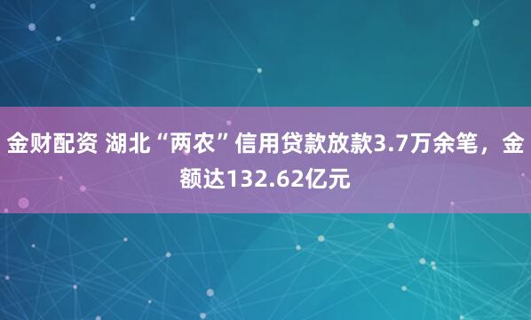 金财配资 湖北“两农”信用贷款放款3.7万余笔，金额达132.62亿元